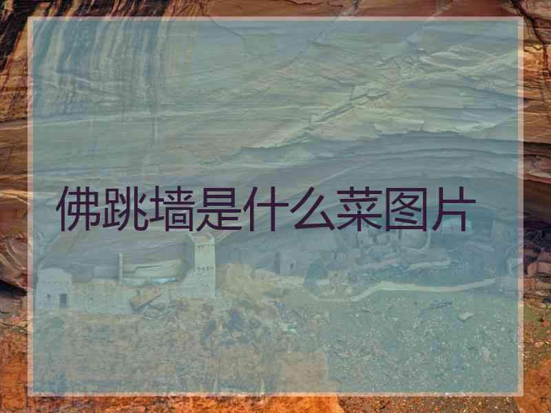 佛跳墙是什么菜图片