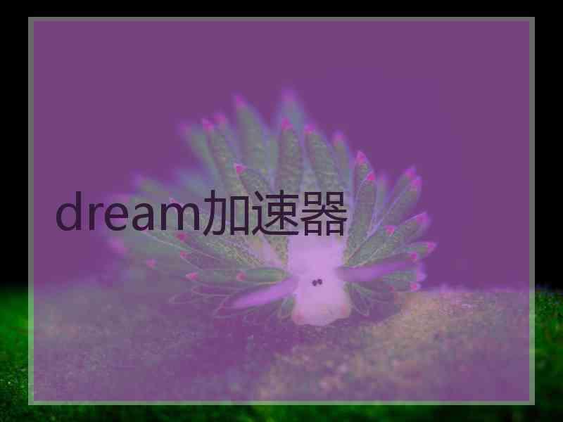 dream加速器