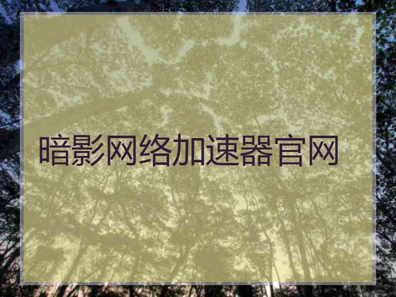 暗影网络加速器官网
