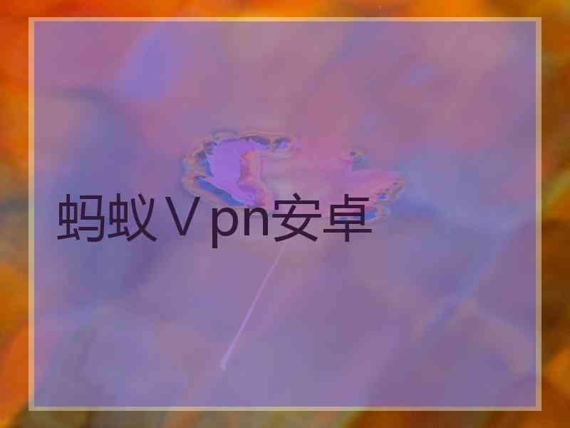 蚂蚁Ⅴpn安卓