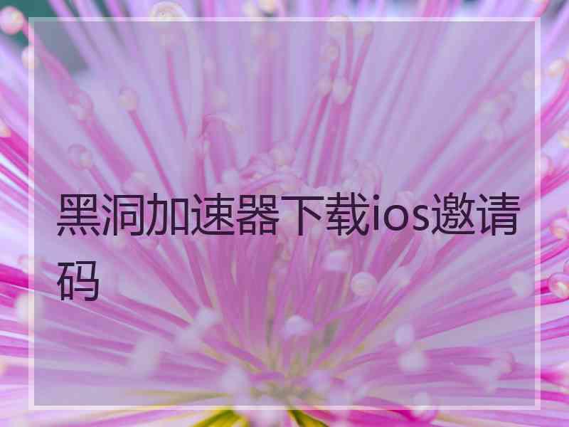 黑洞加速器下载ios邀请码