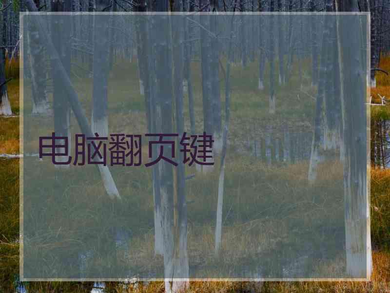 电脑翻页键