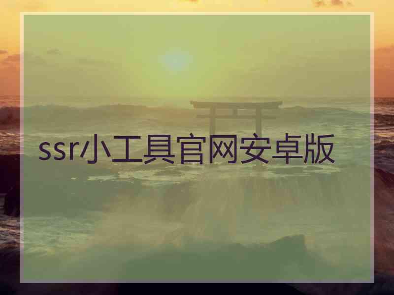 ssr小工具官网安卓版