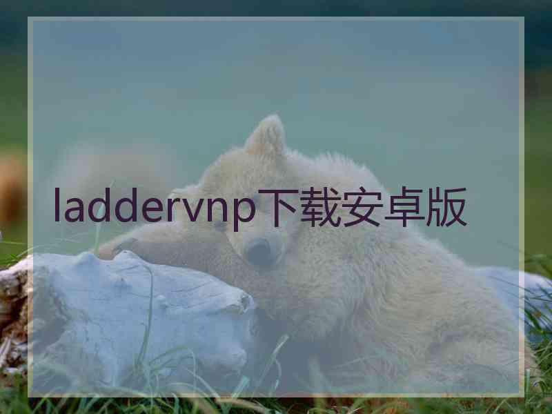 laddervnp下载安卓版