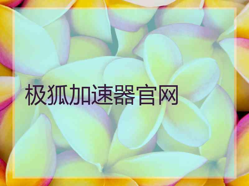 极狐加速器官网