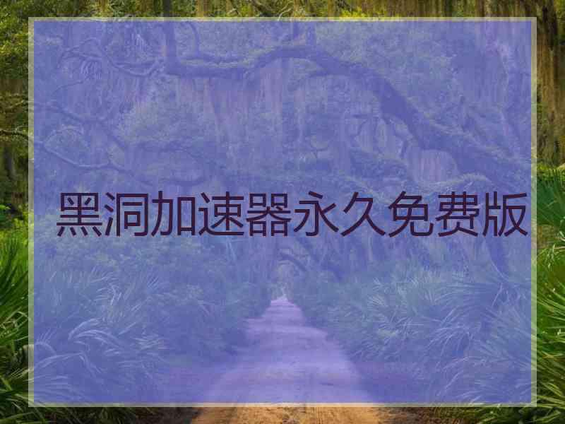 黑洞加速器永久免费版
