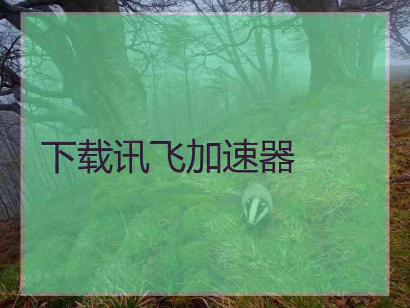 下载讯飞加速器
