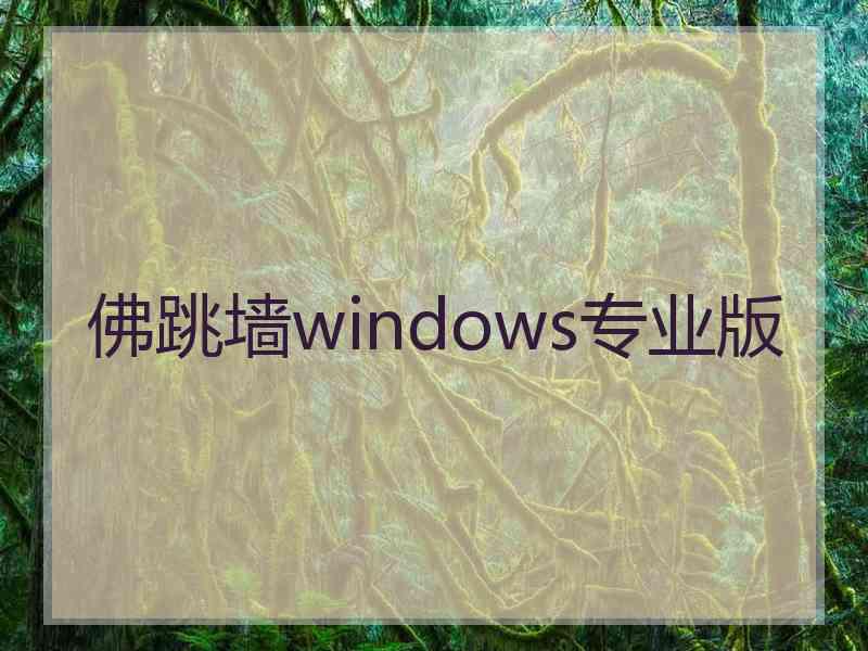 佛跳墙windows专业版