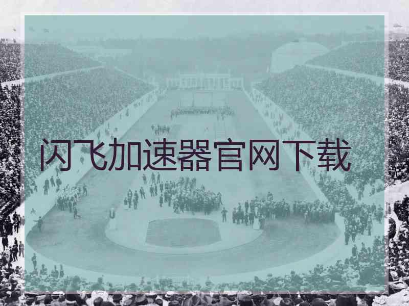 闪飞加速器官网下载