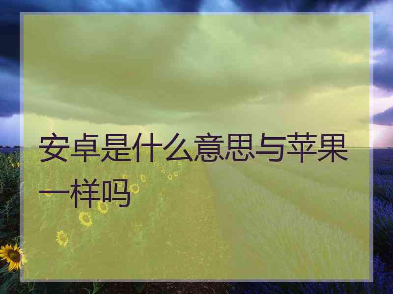 安卓是什么意思与苹果一样吗