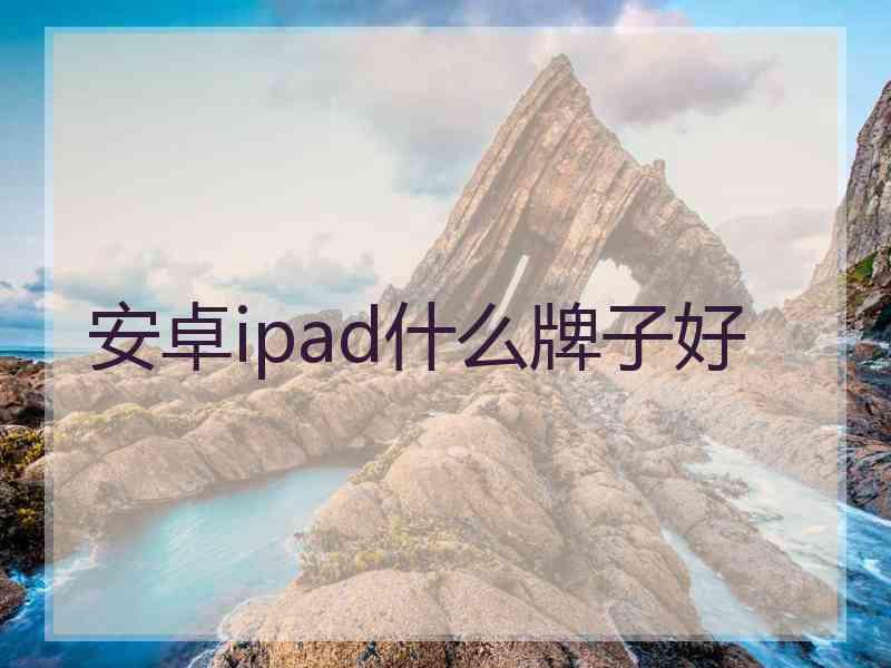 安卓ipad什么牌子好