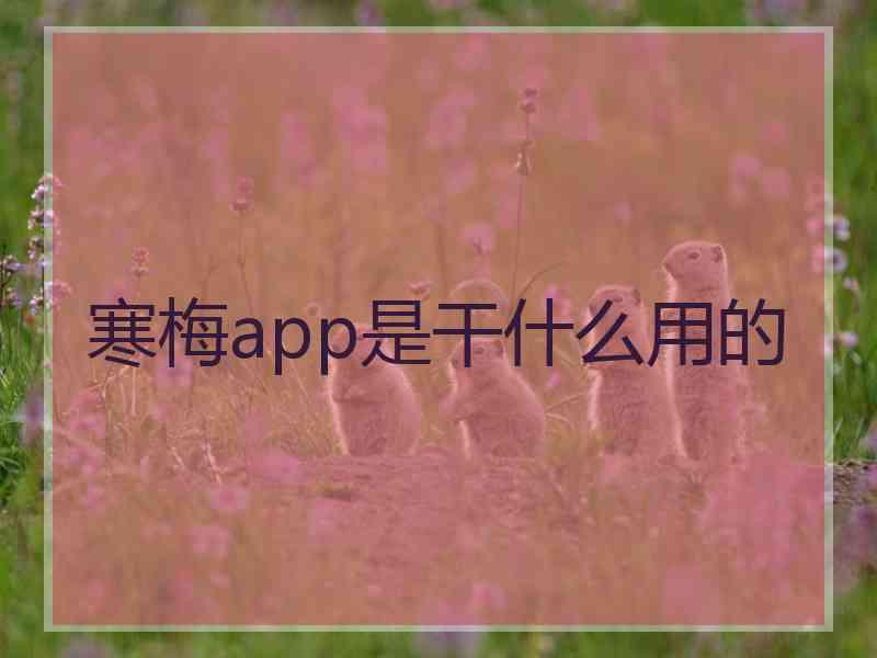 寒梅app是干什么用的