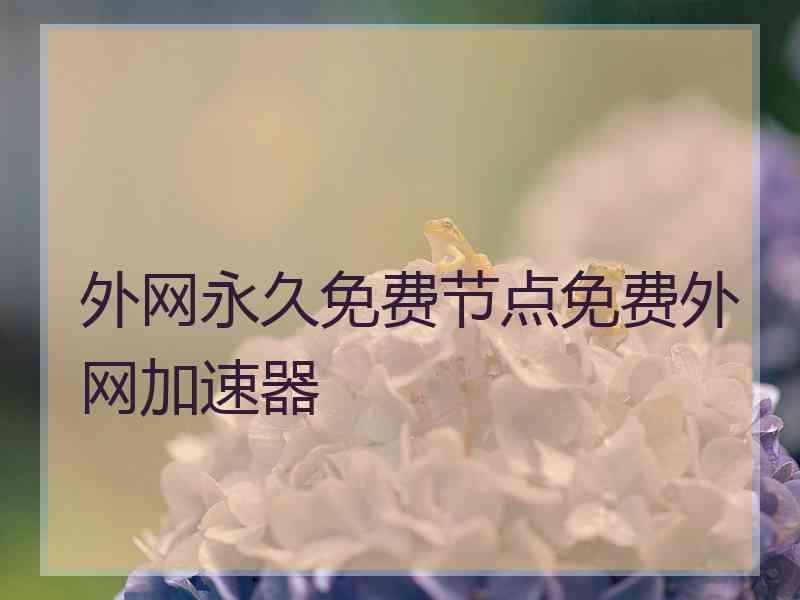 外网永久免费节点免费外网加速器