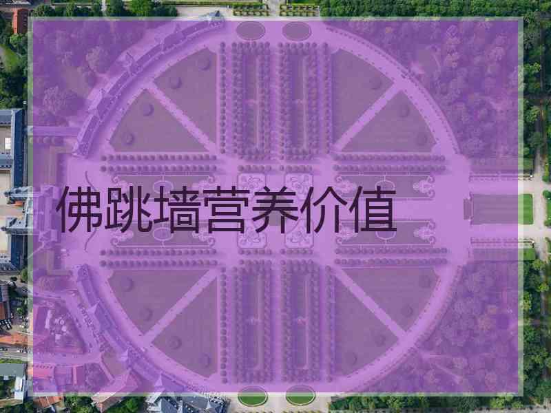 佛跳墙营养价值