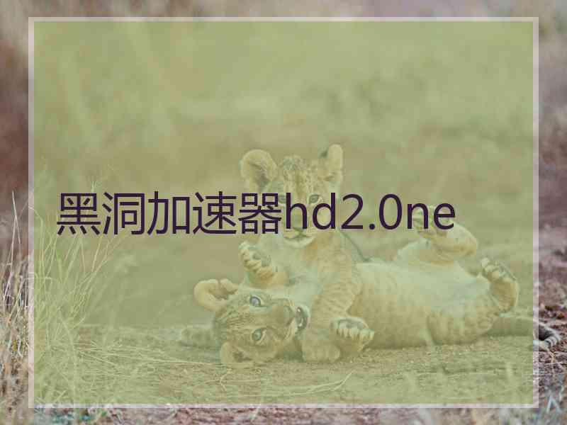黑洞加速器hd2.0ne