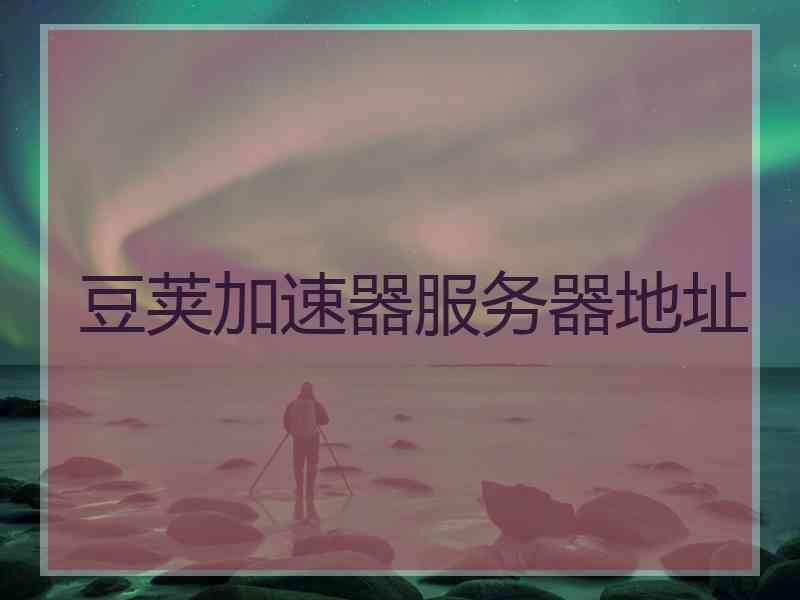 豆荚加速器服务器地址