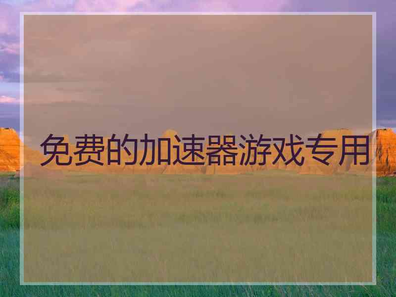 免费的加速器游戏专用