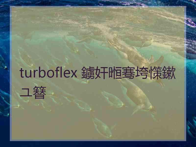 turboflex 鐪奸暅骞垮憡鏉ユ簮