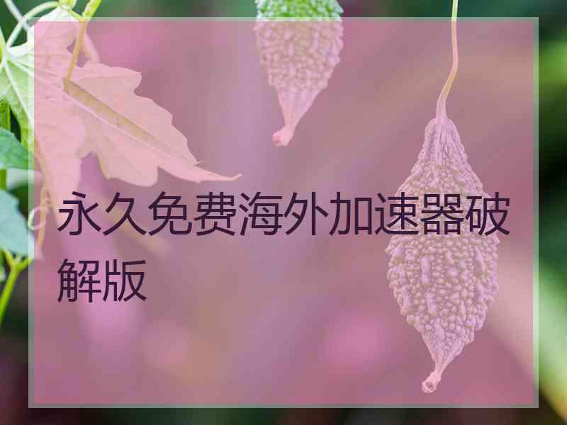 永久免费海外加速器破解版