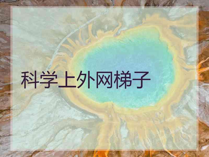 科学上外网梯子