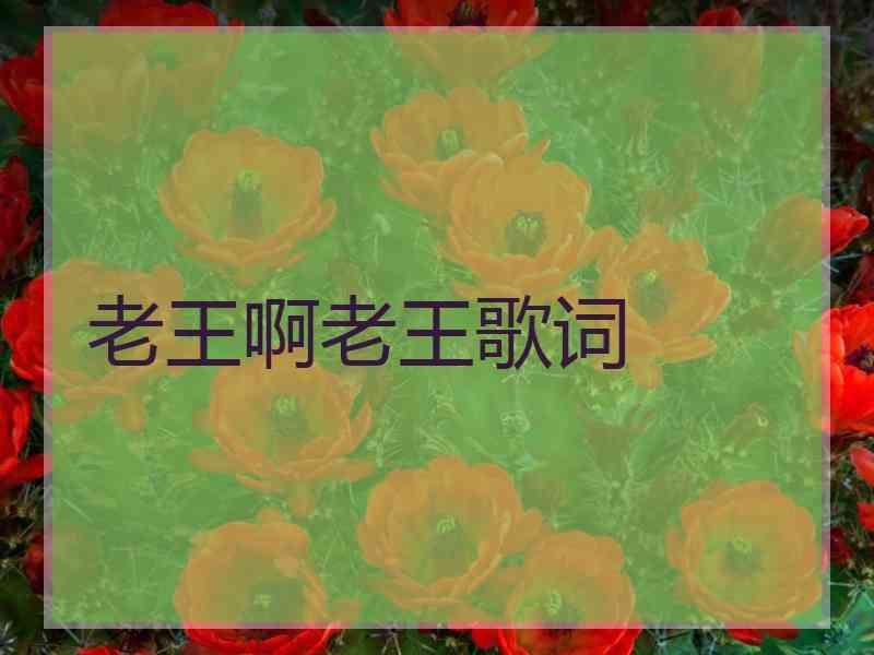 老王啊老王歌词