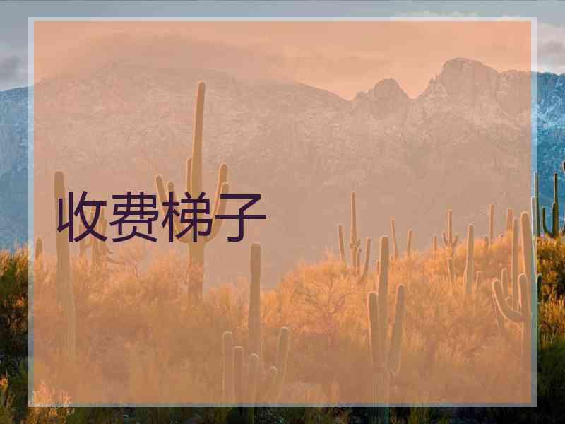 收费梯子