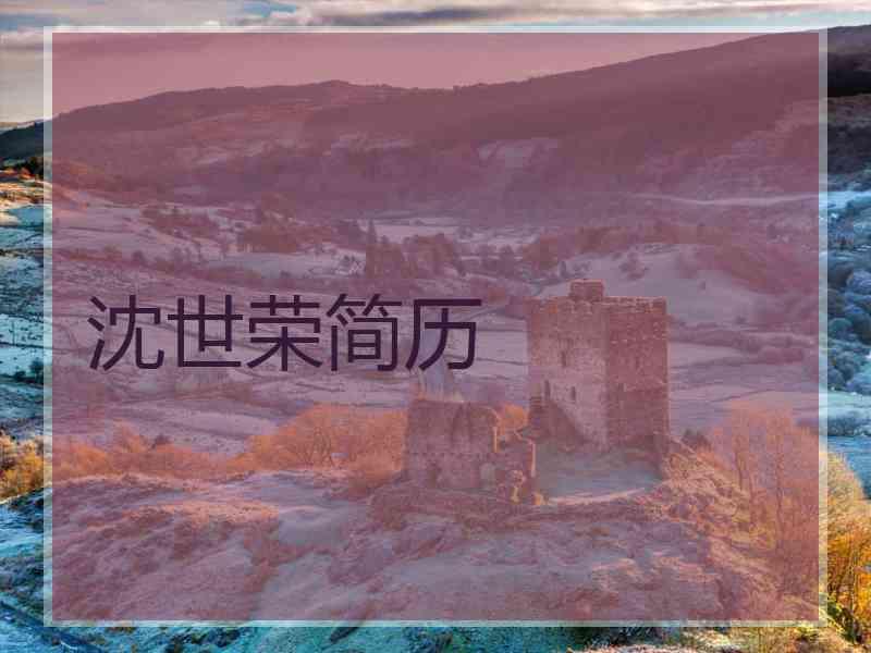 沈世荣简历