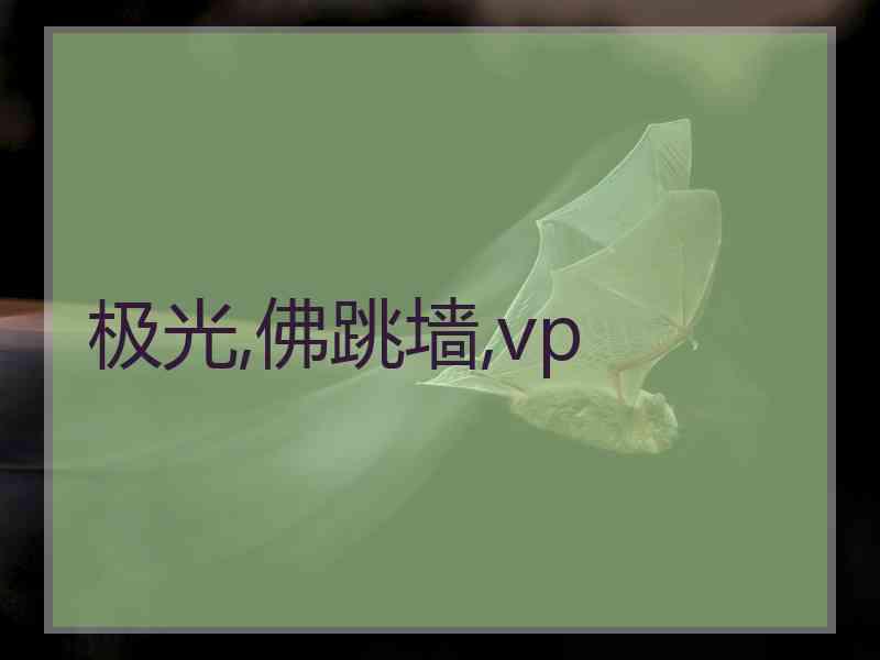 极光,佛跳墙,vp