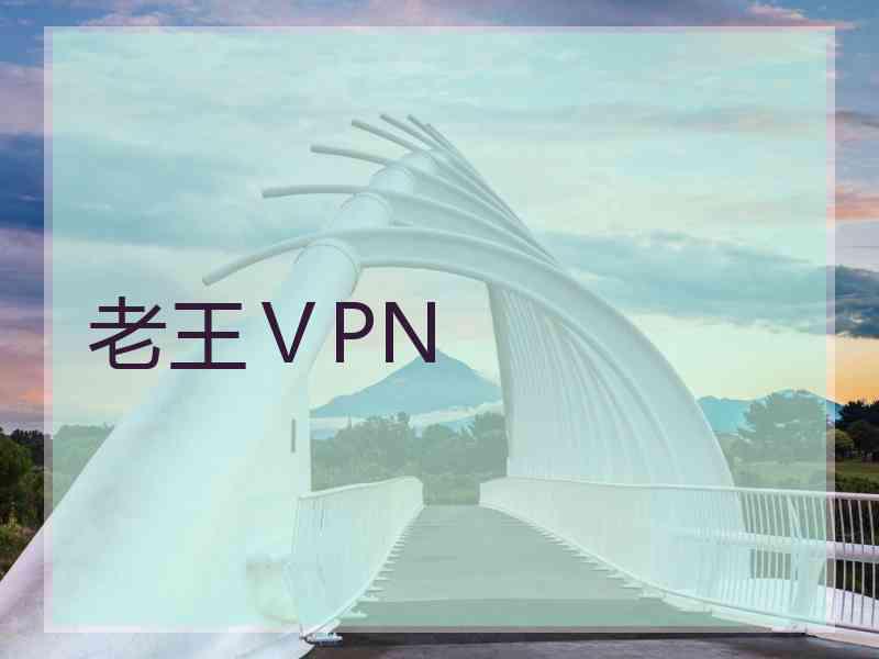 老王ⅤPN