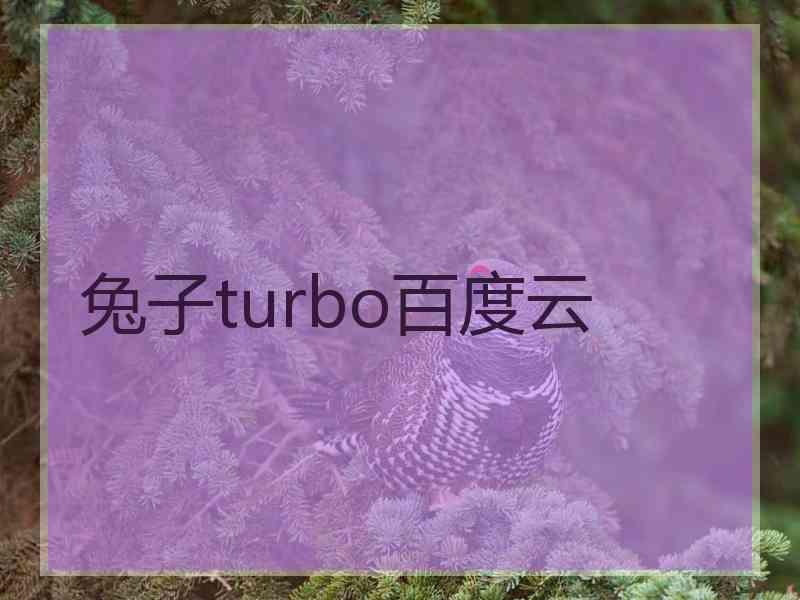 兔子turbo百度云