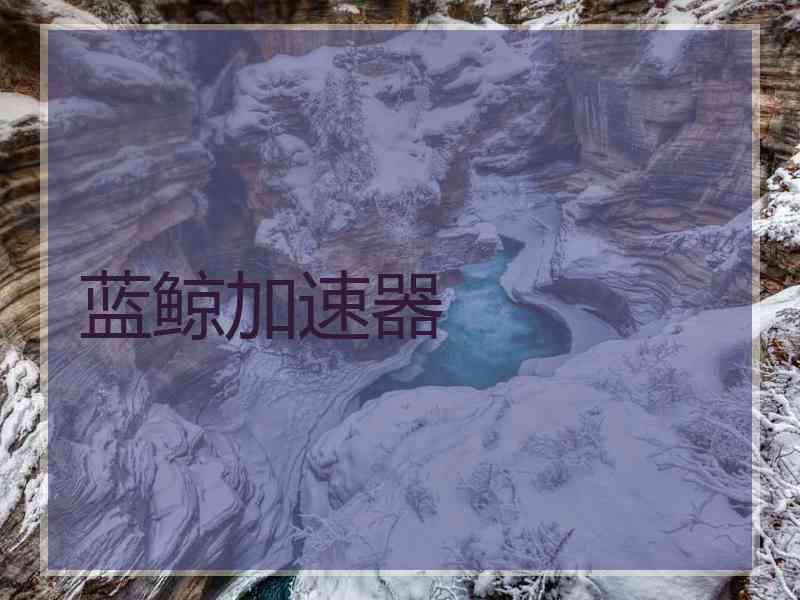 蓝鲸加速器