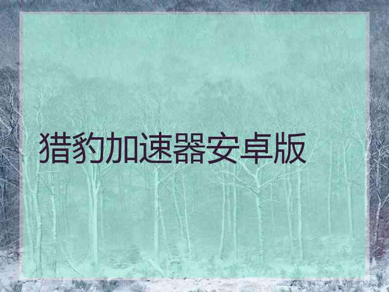 猎豹加速器安卓版