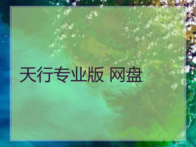 天行专业版 网盘