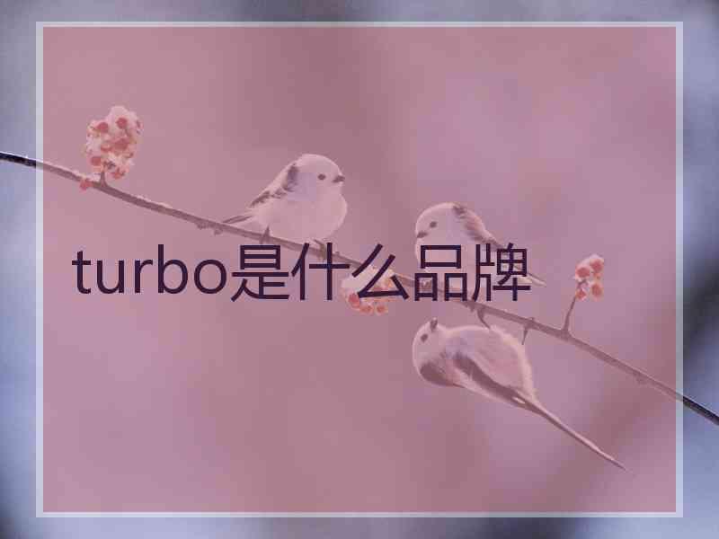 turbo是什么品牌
