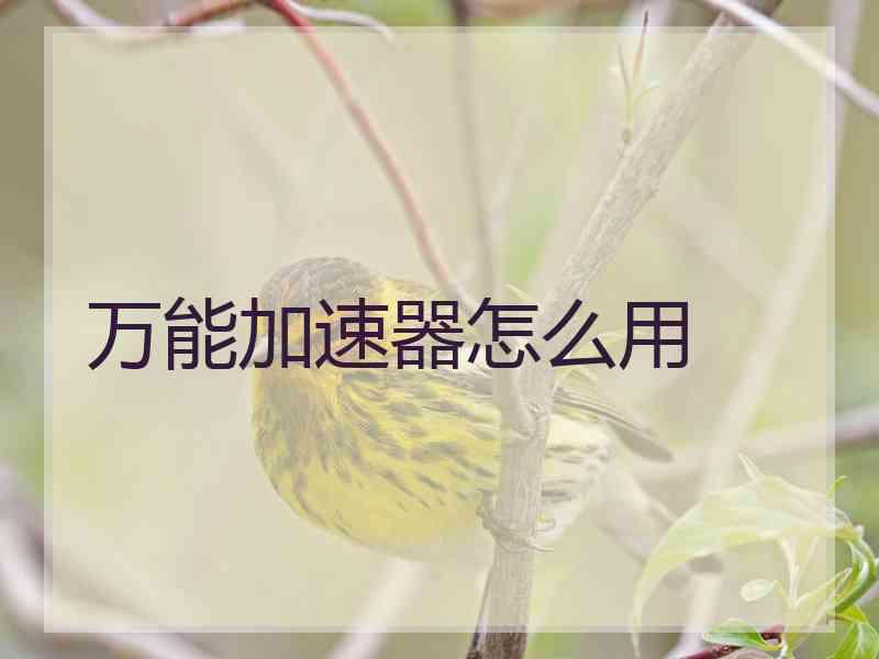 万能加速器怎么用