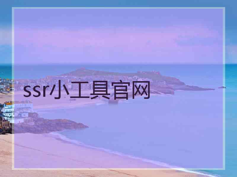 ssr小工具官网
