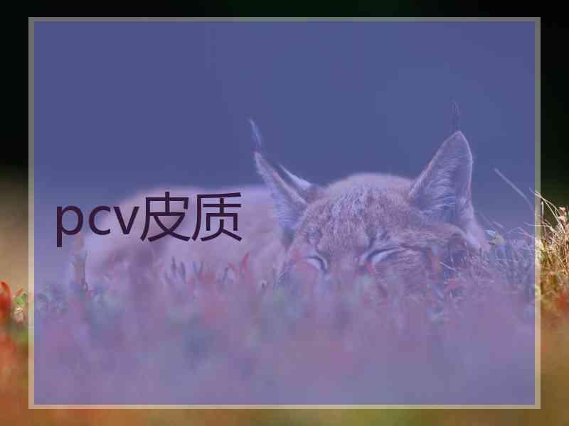 pcv皮质