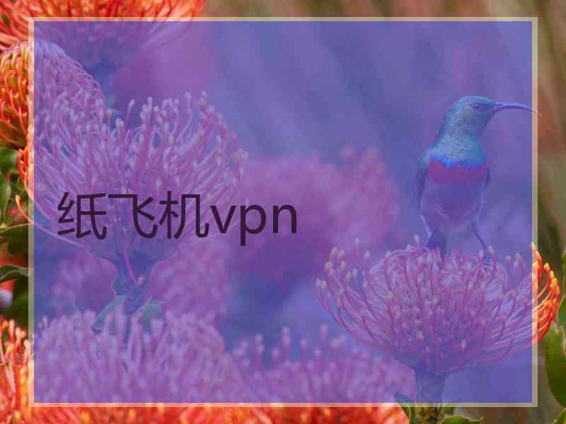 纸飞机vpn
