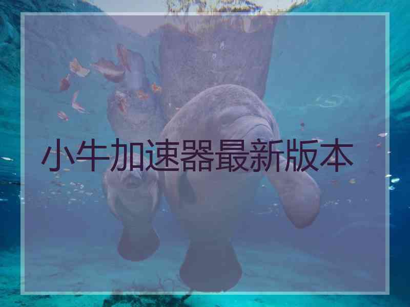 小牛加速器最新版本