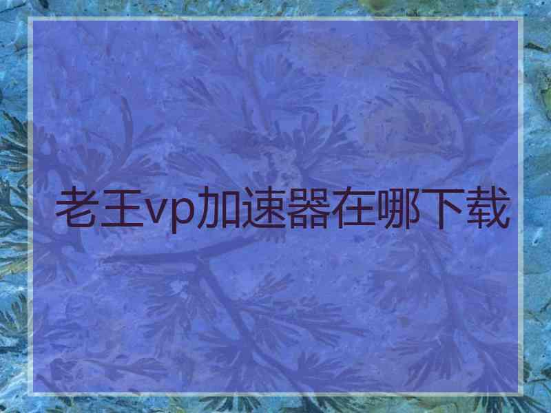 老王vp加速器在哪下载