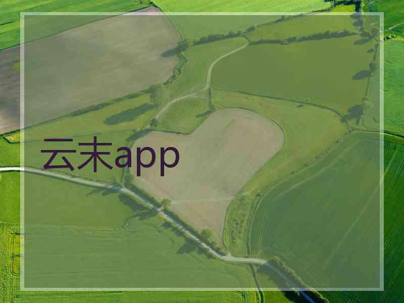 云末app