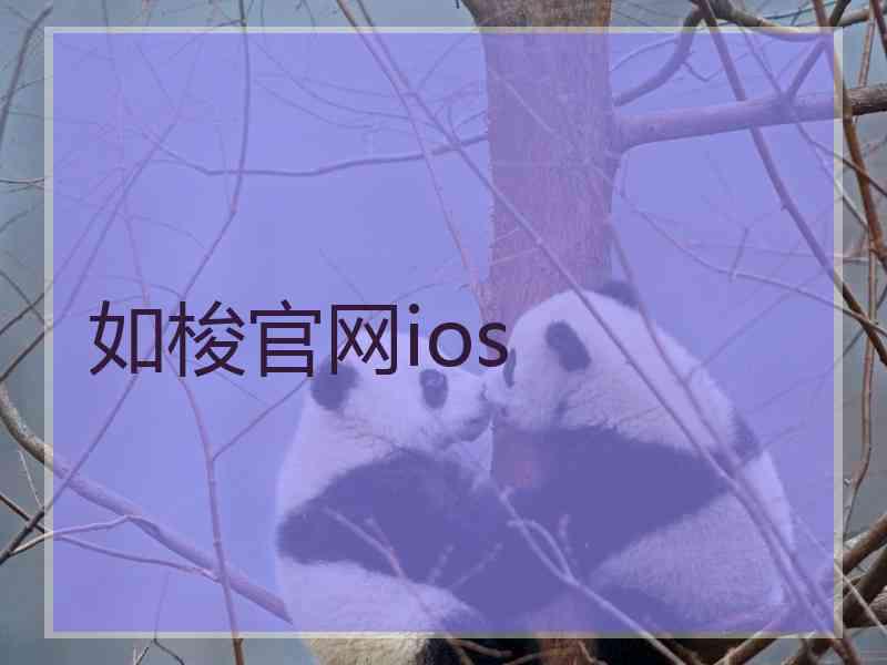 如梭官网ios
