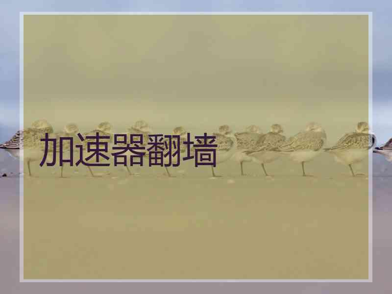 加速器翻墙