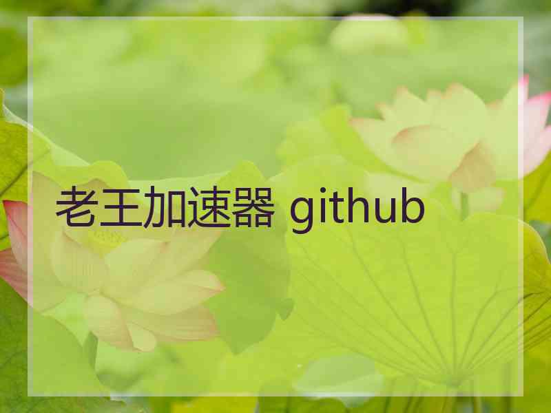 老王加速器 github