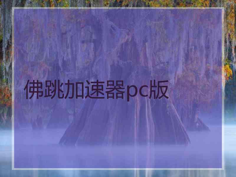 佛跳加速器pc版