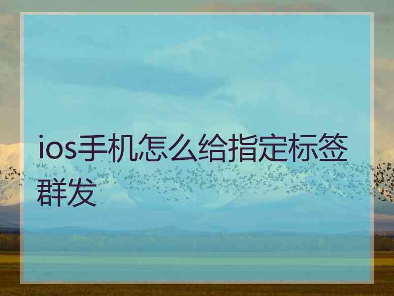 ios手机怎么给指定标签群发