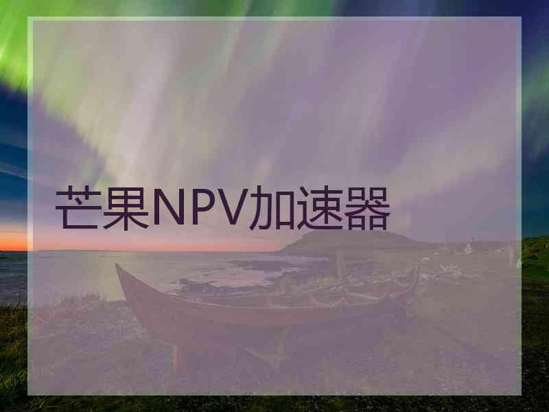 芒果NPV加速器