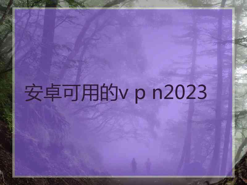 安卓可用的v p n2023