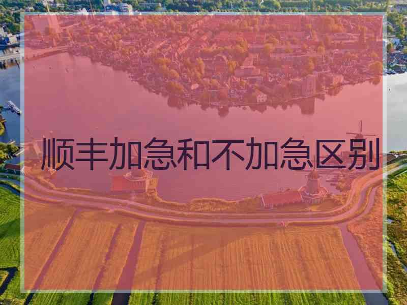 顺丰加急和不加急区别
