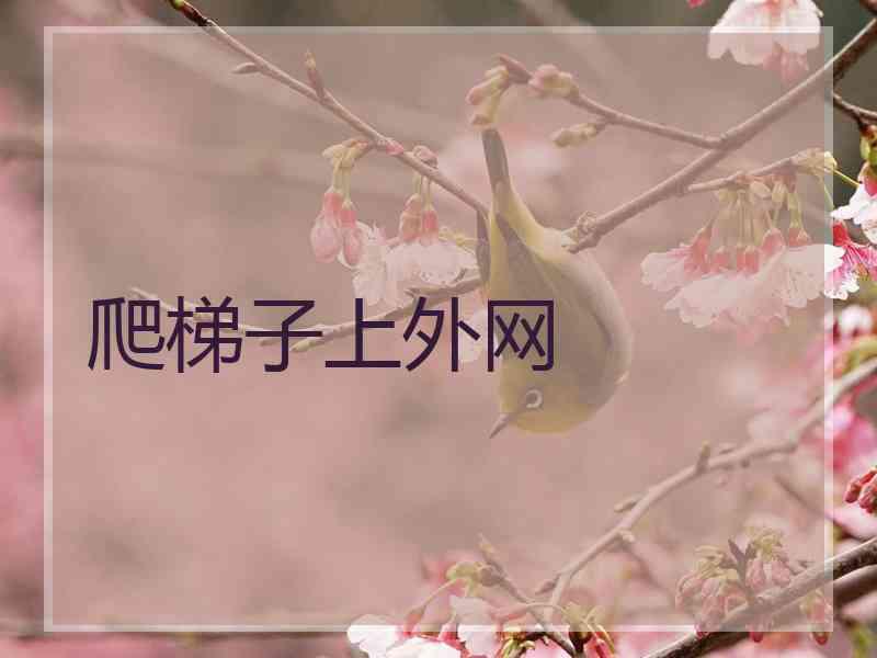 爬梯子上外网